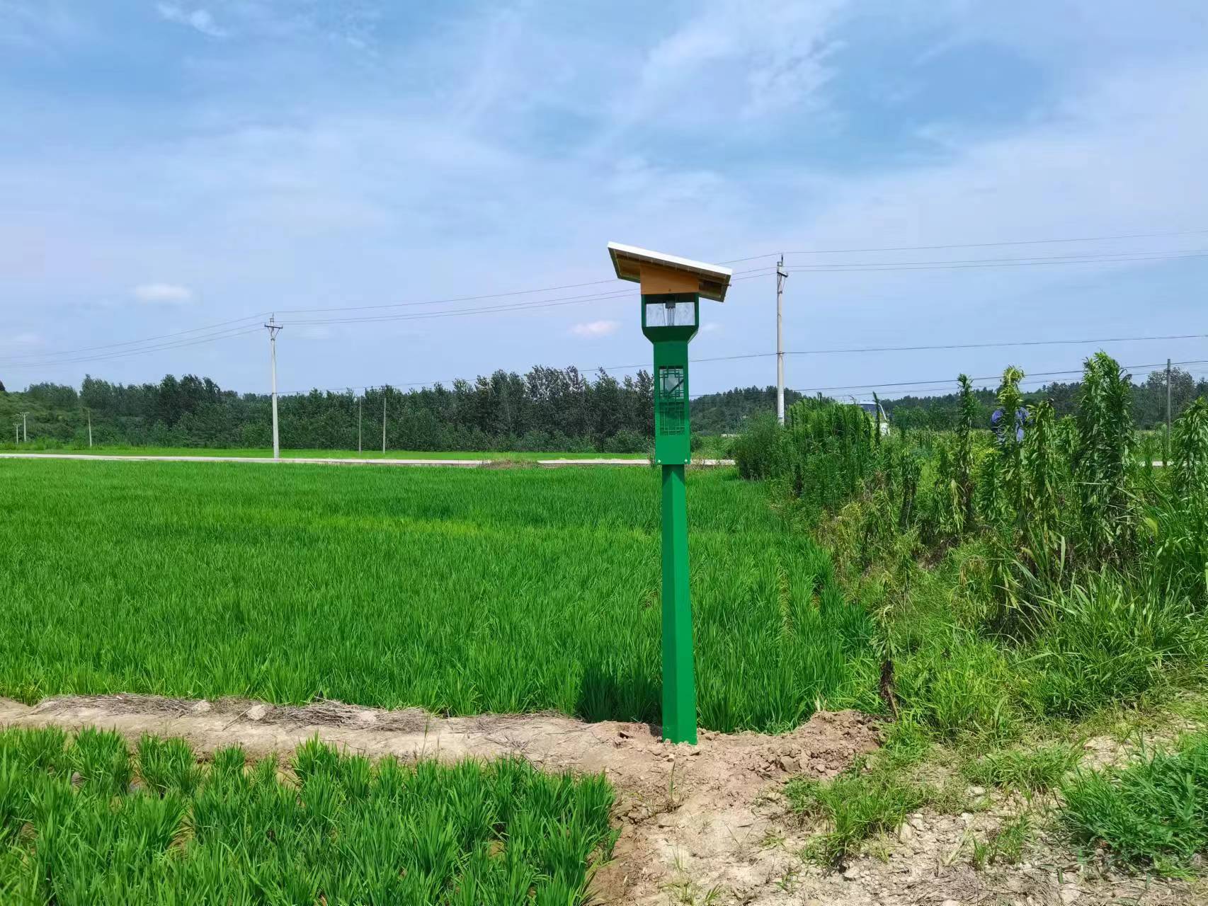 風(fēng)吸式太陽能捕蟲器型號(hào)FXZN08