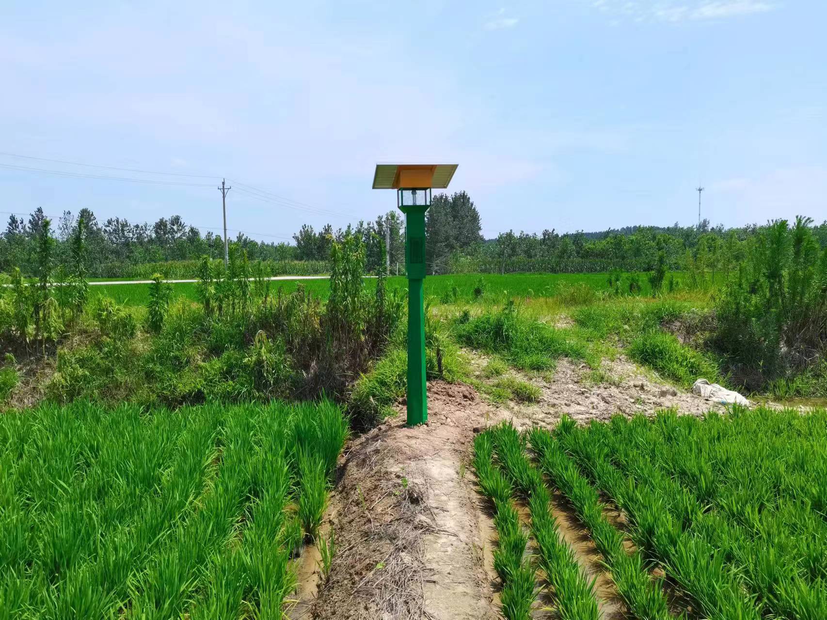 風(fēng)吸式太陽能捕蟲器型號(hào)FXZN08