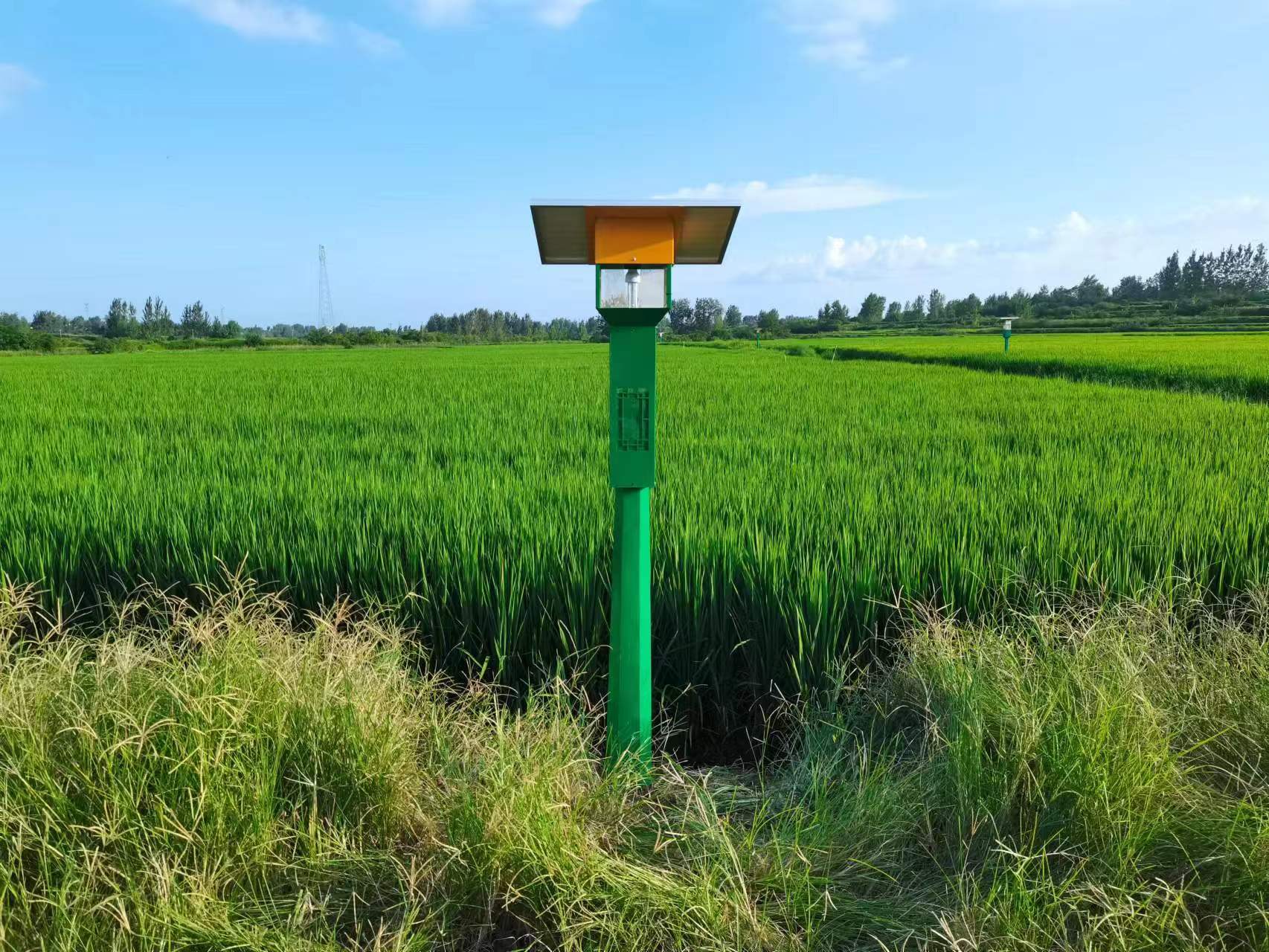 風(fēng)吸式太陽能捕蟲器型號(hào)FXZN08