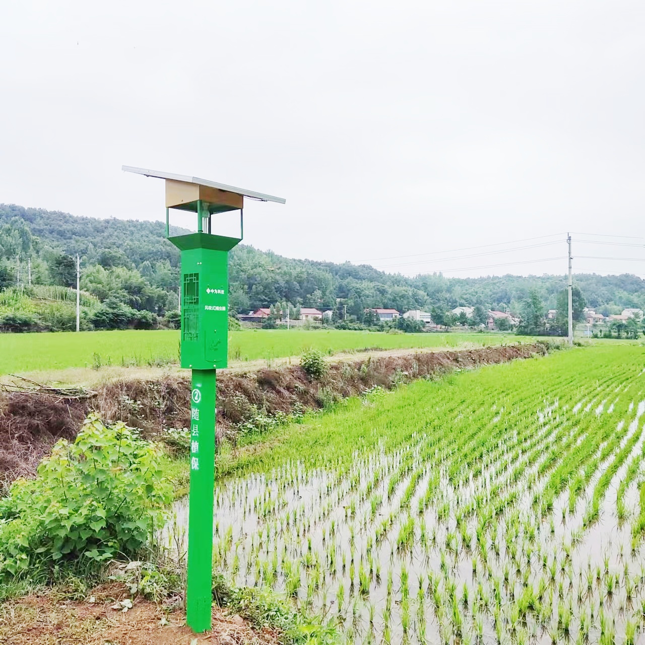 太陽能殺蟲燈的用途