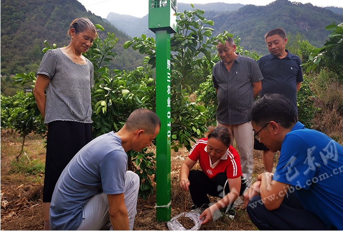 智慧種地 科技讓果農(nóng)輕松把果收