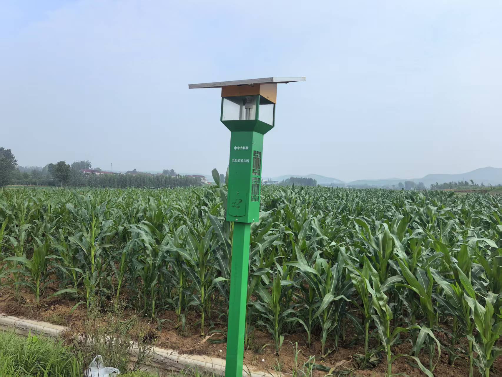 農(nóng)田守護(hù)者----風(fēng)吸式太陽能殺蟲燈