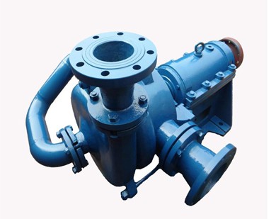 Specialized Pump for Coal Wa...